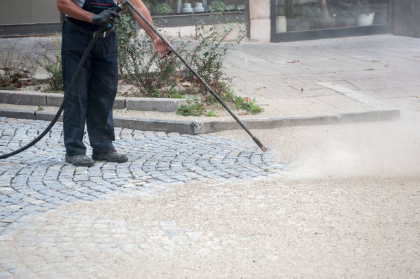 Best Pre-Holiday Cleaning  in North Eagle Butte, SD